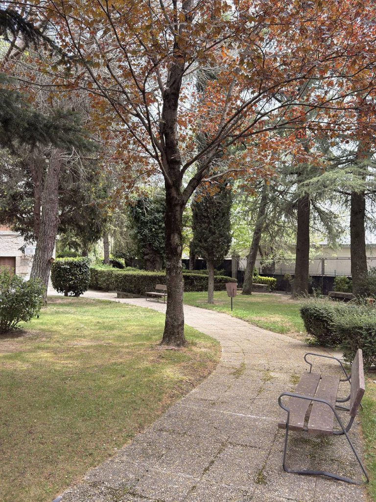 espacio-empresas-cercedilla-madrid-colladito-jardin-2